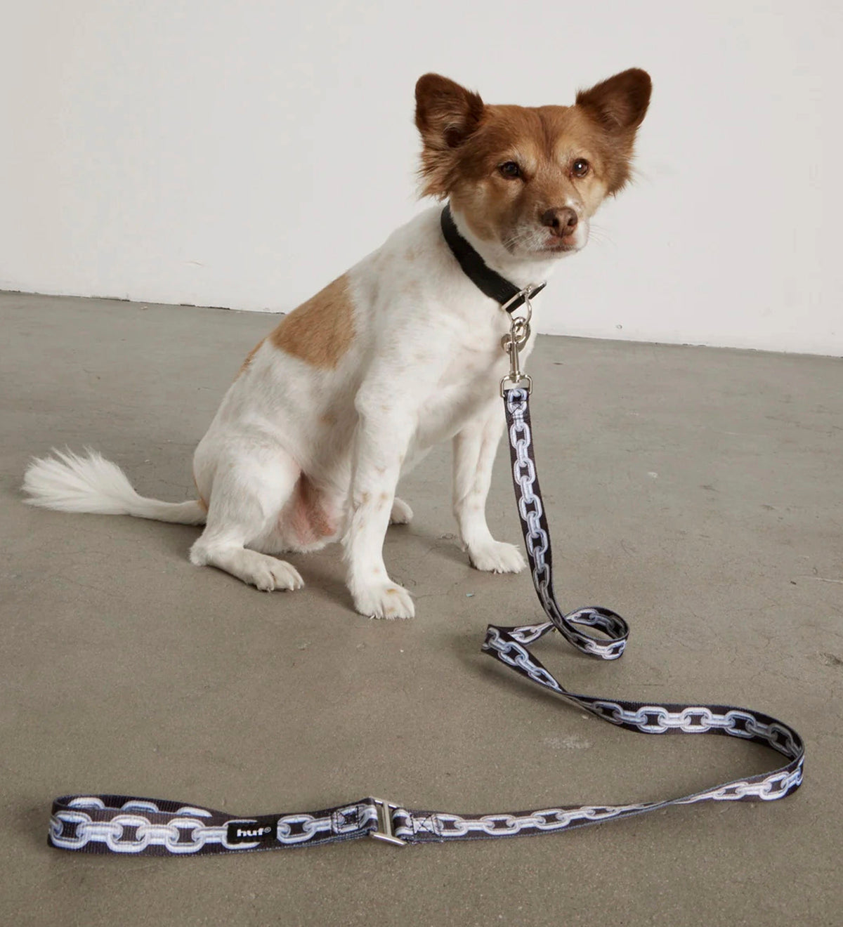 Unchained (Dog Leash), Black
