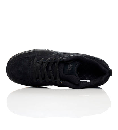 Paul Rodriguez Zoom Air Low, Black/Black/Gum