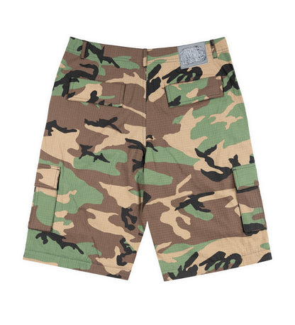 Transformer, Camo