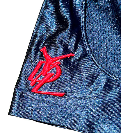 YDL Mesh #6, Navy/Red