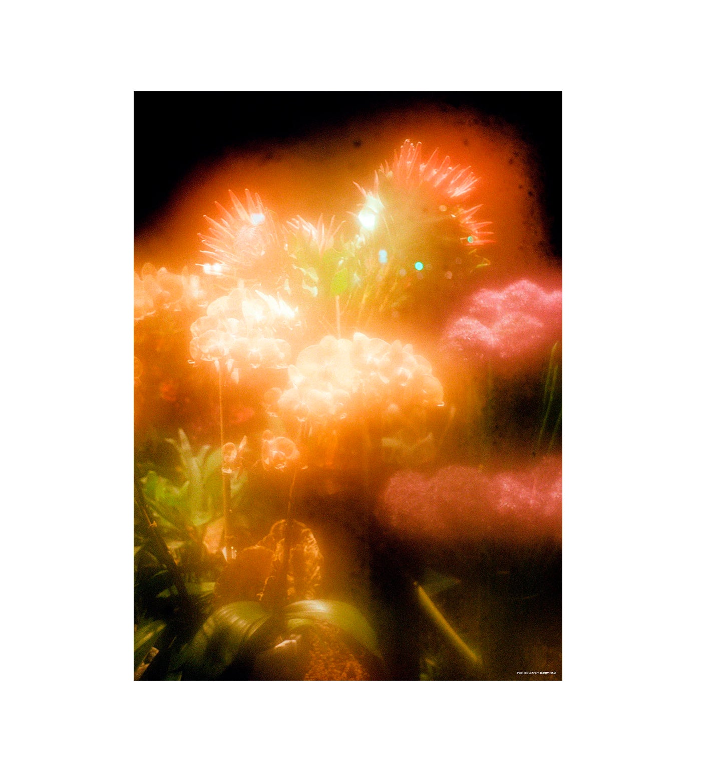 66 (Sci-Fi Fantasy Edition), Multi