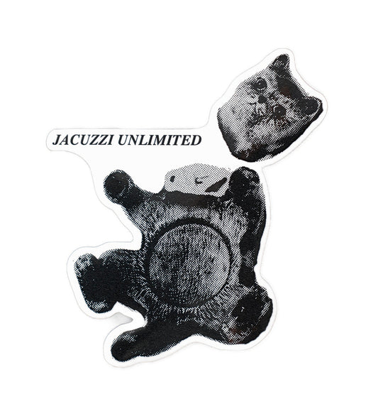 Broken Cat