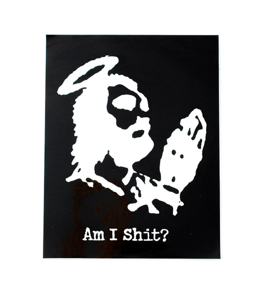 Am I Shit?