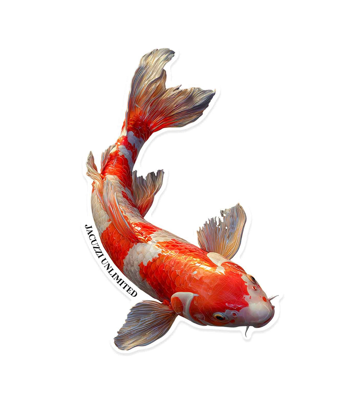 Koi Fish, Multi
