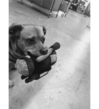 HPX Dog Toy Plushie, Black