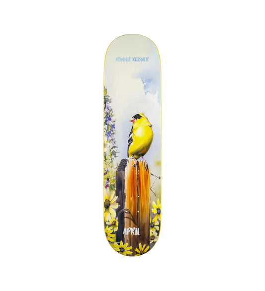 Gold Finch - Ronnie Kessner, Multi