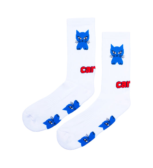 Cat, White