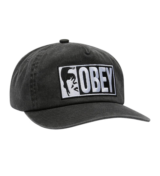 Pigment Obey Half Icon, Black